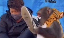 搞笑配音视频,笑破肚皮！搞笑配音视频大盘点