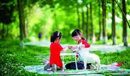 青草在线观看视频,探寻自然之美，共赏生态盛宴